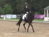 dressage horse Salt'n Pepper 19 (Hanoverian, 2009, from Sandro Hit)