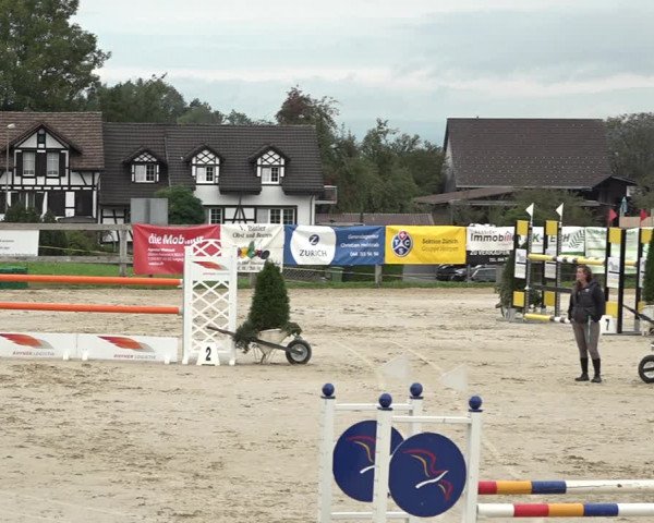 Reitturnier Wädenswil 2020