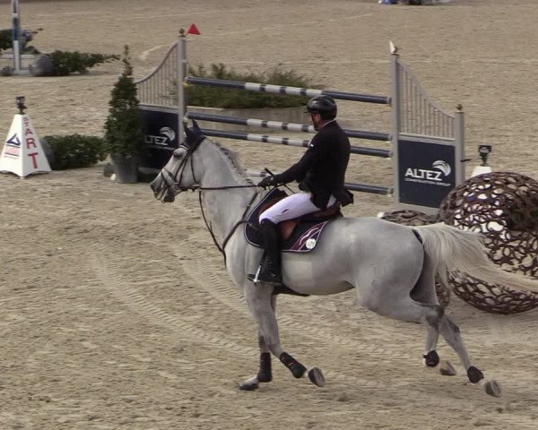 FEI Reitturnier Lier (BEL) 2020