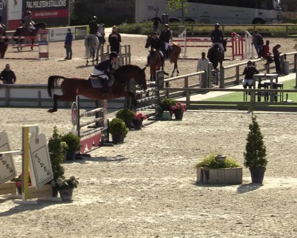 FEI Reitturnier Lier (BEL) 2020
