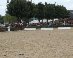 jumper Gismo 654 (German Riding Pony, 2009, from Genesis B)