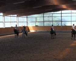 dressage horse Balioso (Spanish Sport Horse, 2008, from Mensajero XVI)