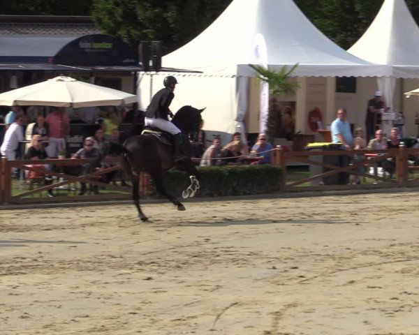 Equus Colonius - Reitanlage Brüse Köln 2021