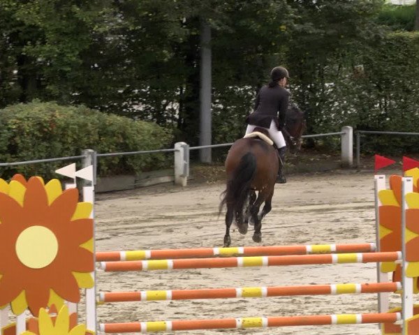 Reitturnier Schutterwald 2020