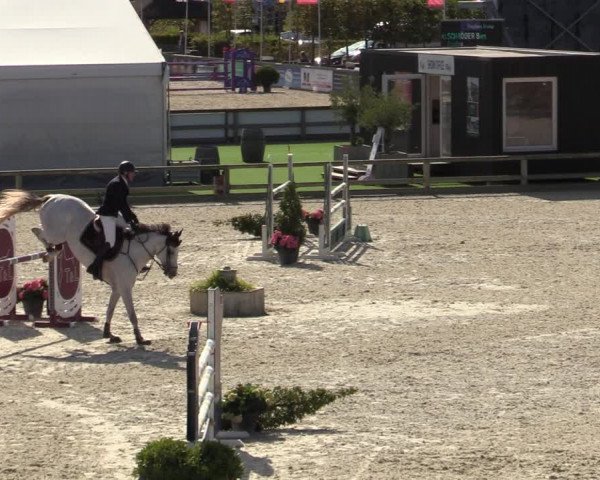 FEI Reitturnier Lier (BEL) 2020
