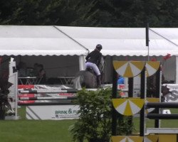 jumper Stakkola (Oldenburg show jumper, 2009, from Stakkatol)