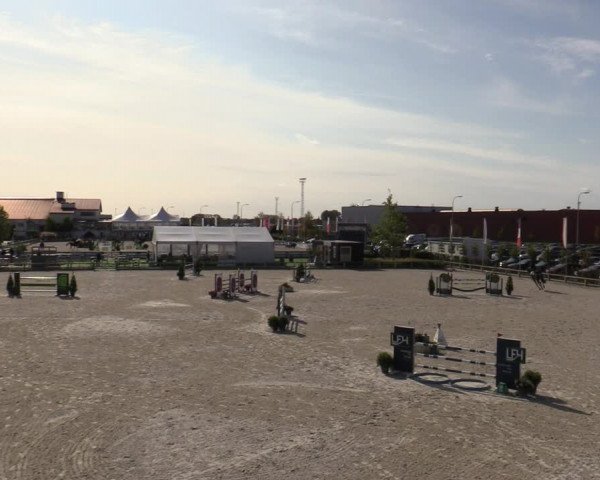 FEI Reitturnier Lier (BEL) 2020