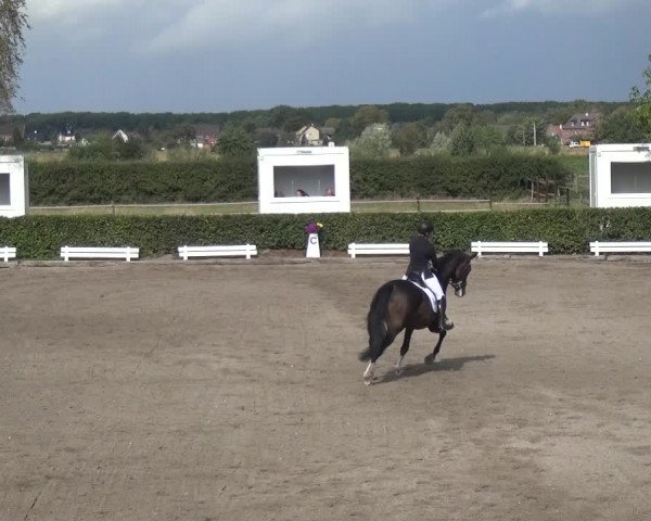Reitturnier Übach-Palenberg - Scherpenseel 2020