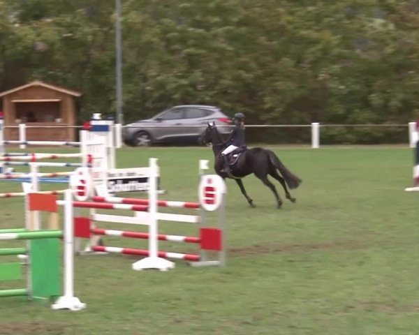 Reitturnier Remlingen/Ufr. 2020