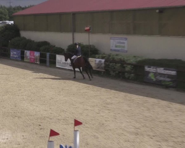 Reitturnier Kirchhellen/Stall Dieckmann 2020