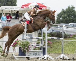 broodmare Easy Lady (Württemberger, 2001, from Exodus)