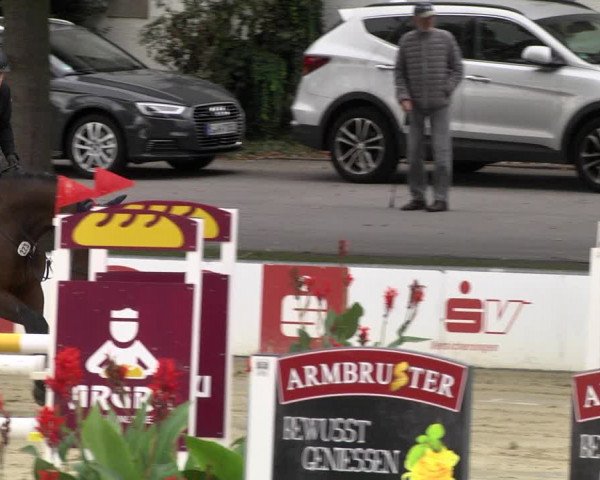 Reitturnier Schutterwald 2020