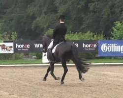 dressage horse Fellow Plus (Hanoverian, 2007, from Fidertanz)