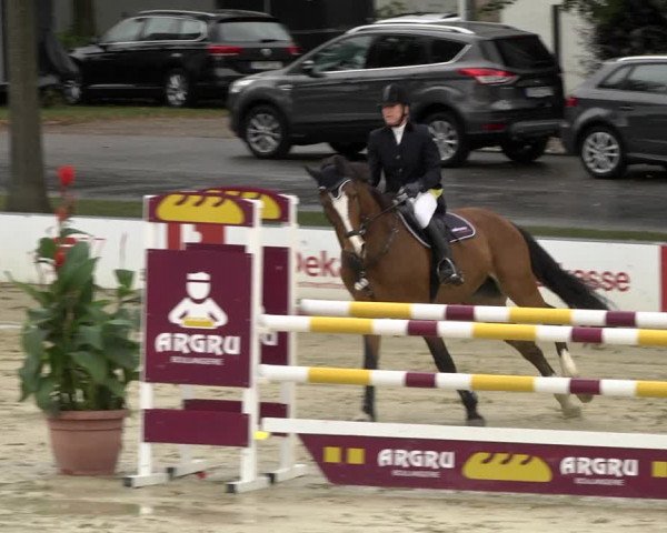 Reitturnier Schutterwald 2020