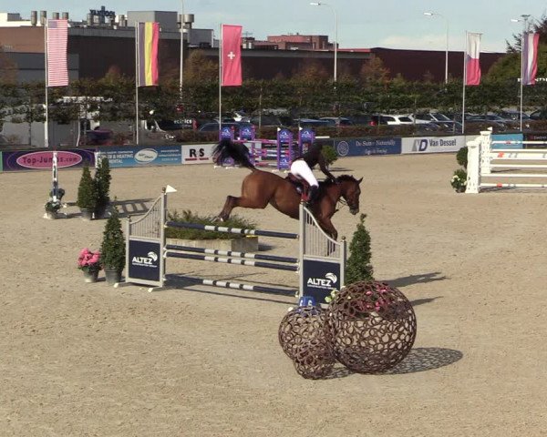 FEI Reitturnier Lier (BEL) 2020