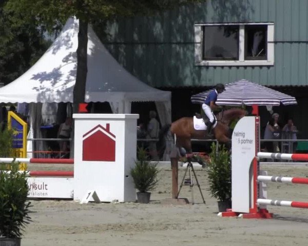 jumper London S (Oldenburg show jumper, 2009, from Lordanos)