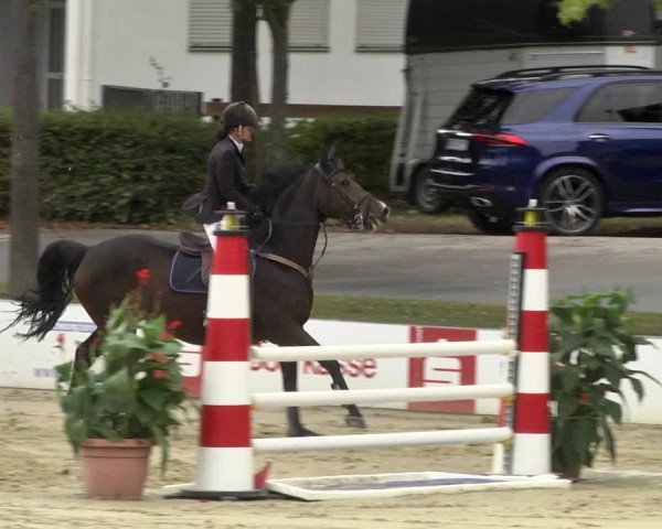 Reitturnier Schutterwald 2020
