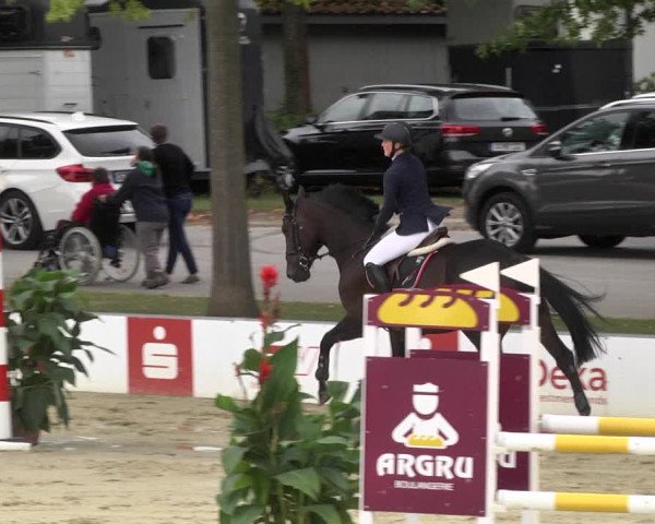 Reitturnier Schutterwald 2020