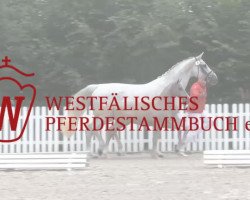 horse Stute von Eldino (Westphalian, 2014, from Eldino)