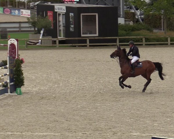 FEI Reitturnier Lier (BEL) 2020