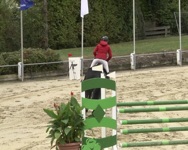 Reitturnier Schutterwald 2020