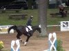 jumper Pico 235 (Hanoverian, 2009, from Perigueux)