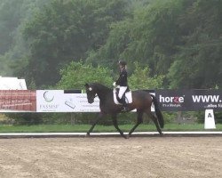 dressage horse Dark Diamond 56 (Hanoverian, 2011, from Don Crusador)