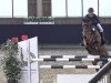 jumper Cherrylane F (Hanoverian, 2008, from Charilan)