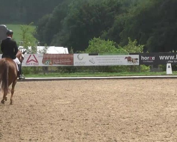 dressage horse Fine and Fancy (Hanoverian, 2010, from Fidertanz)