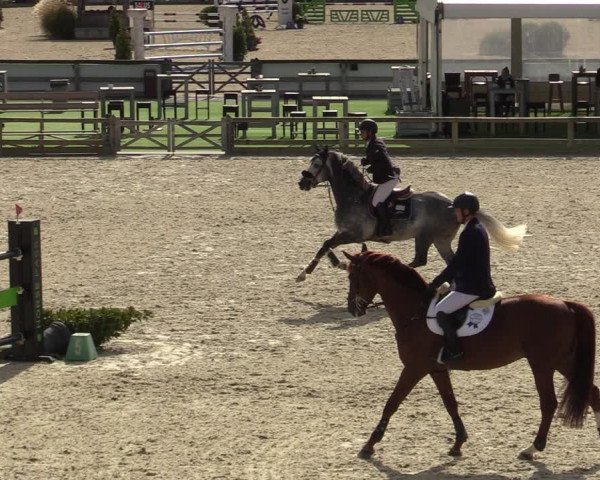 FEI Reitturnier Lier (BEL) 2020