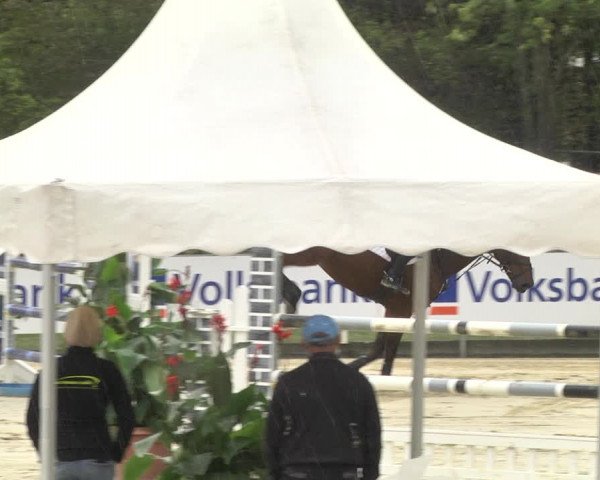 Reitturnier Schutterwald 2020