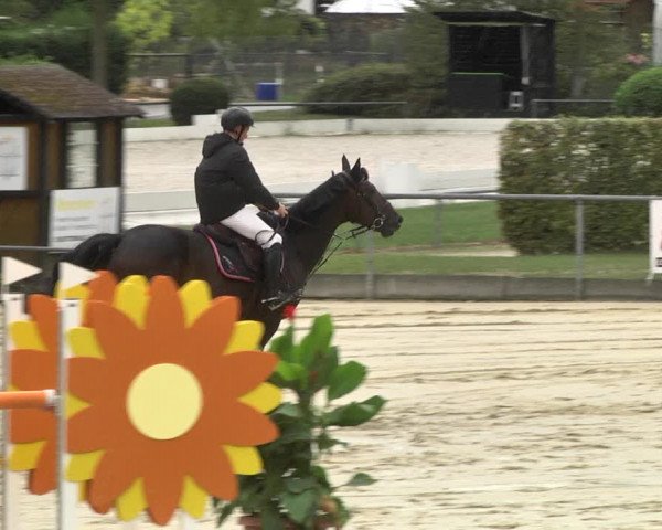 Reitturnier Schutterwald 2020