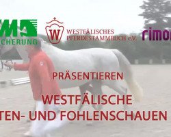 Dressurpferd Hengst von For Romance (Westfale, 2014, von For Romance I)