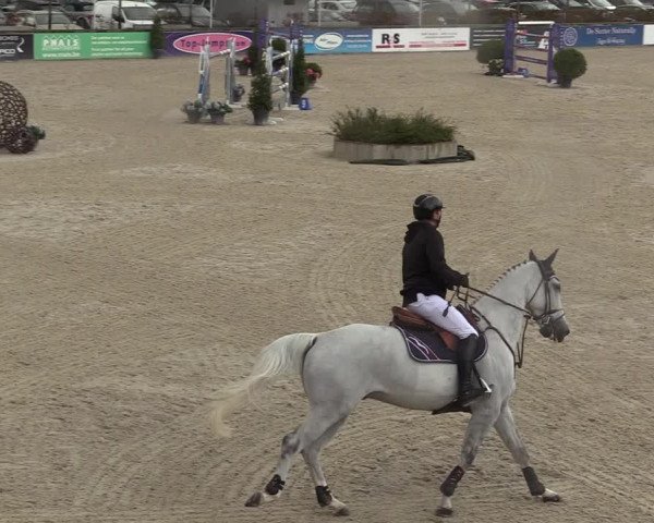 FEI Reitturnier Lier (BEL) 2020