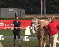 broodmare Merci 118 (German Riding Pony, 2011, from Marco)