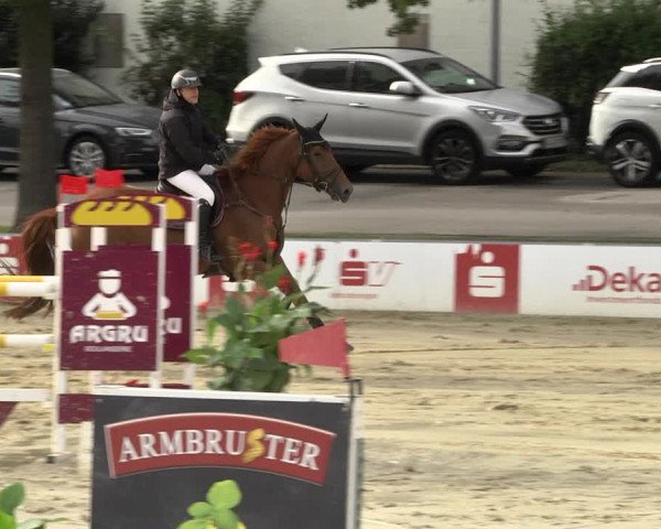 Reitturnier Schutterwald 2020