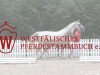 broodmare Grazia II LW (German Riding Pony, 2014, from Going East)