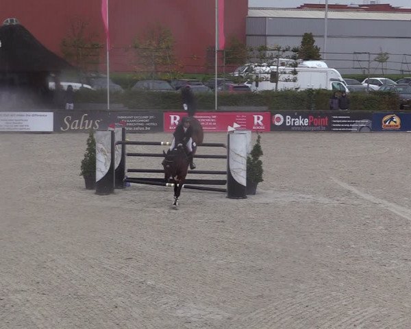 FEI Reitturnier Lier (BEL) 2020