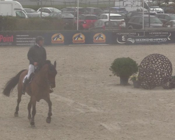 FEI Reitturnier Lier (BEL) 2020