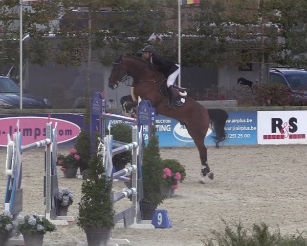 FEI Reitturnier Lier (BEL) 2020
