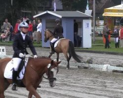 dressage horse Cisse TF (German Riding Pony, 2011, from NK Cyrill)