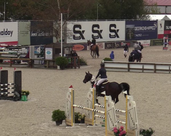 FEI Reitturnier Lier (BEL) 2020