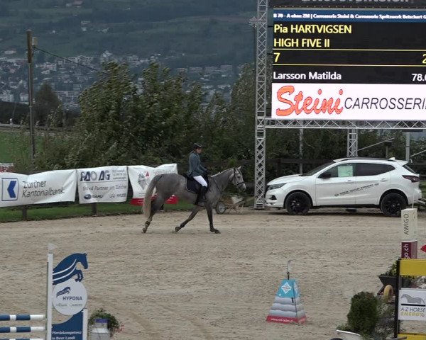 Reitturnier Wädenswil 2020