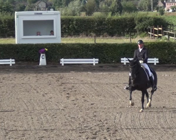 Reitturnier Übach-Palenberg - Scherpenseel 2020