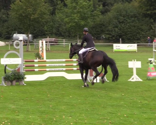 Reitturnier Kellinghusen 2020