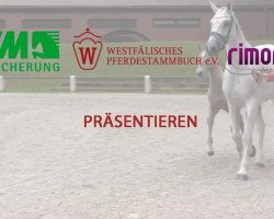 dressage horse Stute von Scuderia (Westphalian, 2014, from Scuderia)