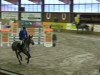 jumper Janeiro van't Heiko (Belgian Warmblood, 2009, from Clearway)