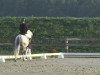 dressage horse Voyeur (German Riding Pony, 2003, from Veivel R)