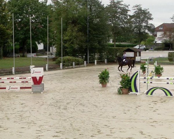 Reitturnier Schutterwald 2020