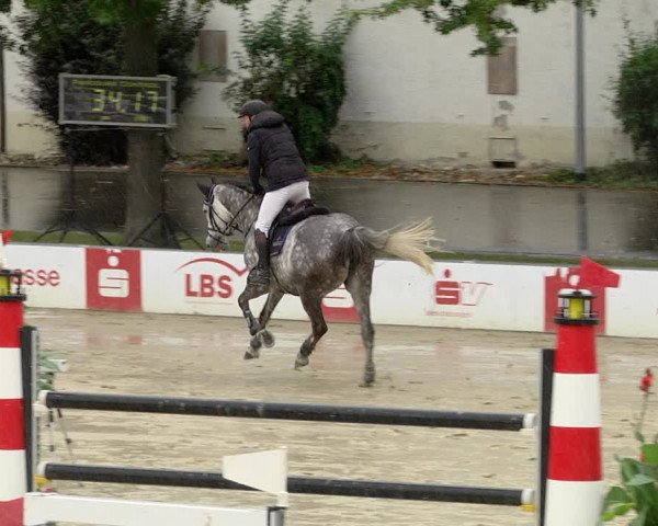Reitturnier Schutterwald 2020